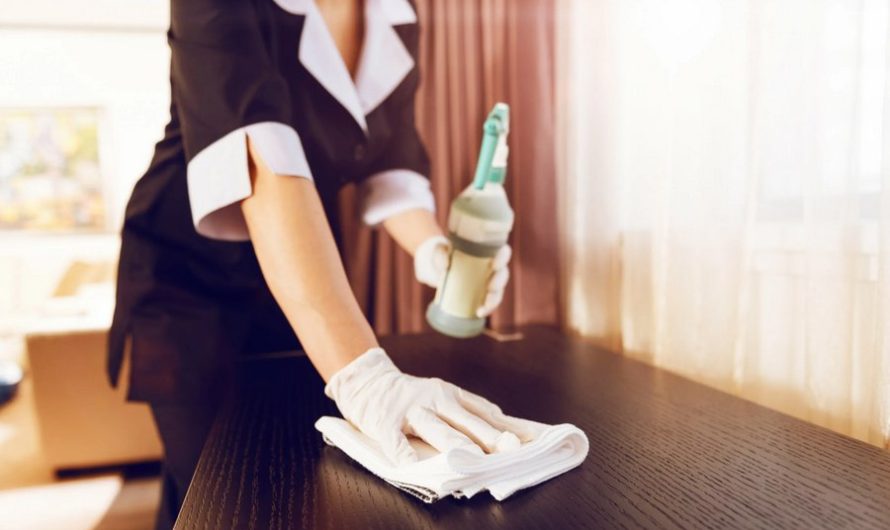 Five Traits Every Professional Maid Should Possess